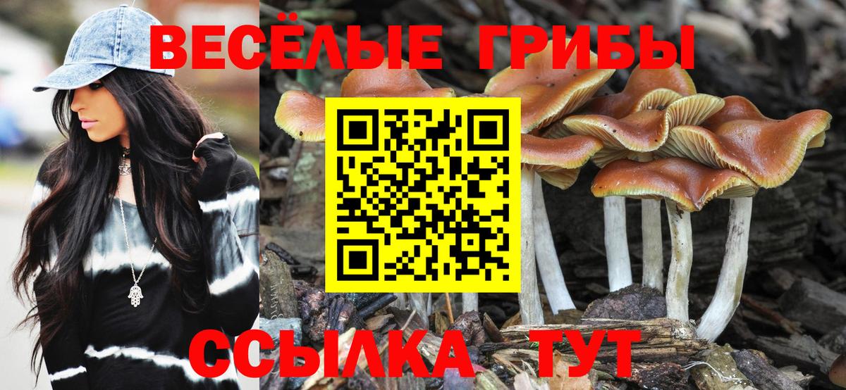 Галлюциногенные грибы мухоморы Ипатово