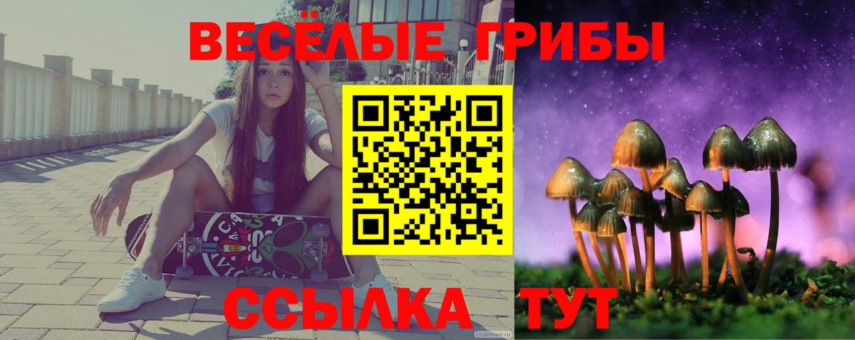 Ипатово  Галлюциногенные грибы Psilocybine cubensis  Вход с VPN 